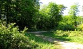 Tocht Stappen Trosly-Breuil - en forêt de Compiègne_28_les Tournantes sur le Mont Saint-Mard et sur le Mont Collet - Photo 1