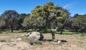 Tour Wandern Gonfaron - Plateau du Treps - Photo 13