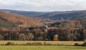 Tour Wandern Érezée - fisenne - Photo 1