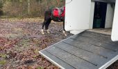 Tour Reiten Bièvre - Graide manege 10km ZZW - Photo 1