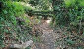 Trail Walking Pontivy - GR_37_DE_25_Pontivy_Cleguerec_20210826 - Photo 9