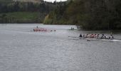 Percorso A piedi Sconosciuto - Castlewellan Forest Park - Slievenaslat Walk - Photo 10