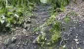 Randonnée Marche Septmoncel les Molunes - Septmoncel - Le sentier des chamois  - Photo 4