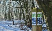 Trail Walking Saint Vith - Rodt - BierMuseum ❄️ - Photo 1