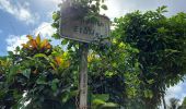Trail Walking Le Lorrain - Boucle Vallon - Moreau - Carabin - Chemin Etoile - Photo 4