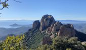 Trail Walking Saint-Raphaël - Pic d'Aurelle-Pic du Cap Roux - Grotte St Honorat depuis col Belle Barbe - Photo 4
