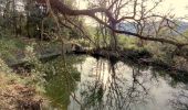 Randonnée Marche Le Revest-les-Eaux - La ripelle - barrage - Ragas - Olivières - Puit - Fourmis - Grottes de sable - Chateau Tourris - Mont combes - Touravelle - Chateau Ripelle                  - Photo 10