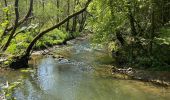 Tour Wandern Arel - Clairefontaine  - Photo 9