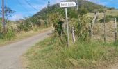 Tocht Stappen Sainte-Anne - moulin val d'or en boucle  - Photo 1