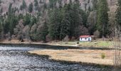 Tocht Stappen La Bresse - 2023-04-15 Marche Abri Collet de Etang vers Abri Lac de Blanchemer - Photo 6