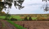 Randonnée Marche Beauraing - Balade de Pondrôme à Revogne - Photo 2