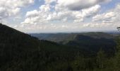 Trail Horseback riding Turquestein-Blancrupt - petit donon  - Photo 9