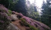 Tocht Stappen Rimbach-près-Masevaux - Haute Bers - Photo 17