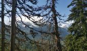 Tour Wandern Chamonix-Mont-Blanc - Aiguille de Posettes et Tête de Balme - Photo 13