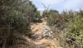 Tocht Stappen L'Albère - col de l ullat . puig d orella . puîg sant cristau . col de l ullat - Photo 6