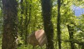 Trail Walking Saint-Laurent-en-Royans - Pont des Chartreux st Laurent en Royans  - Photo 4