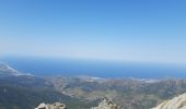 Trail Walking Banyuls-sur-Mer - puig de sallfort depuis coll de vallauria - Photo 8