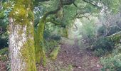 Trail Walking Saint-Antonin-Noble-Val - Saint Antonin Noble Val pat le cirque de Nibousou - Photo 9