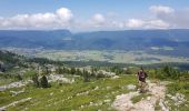 Trail Walking Lans-en-Vercors - Pic st Michel - Photo 14