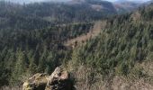 Trail Walking Urmatt - Lutzelhouse Rosinen Fels , cascade,séquoia  - Photo 16