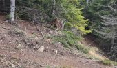 Tour Wandern Aussois - sentier des sculptures - Photo 16