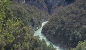 Tocht Stappen La Palud-sur-Verdon - verdon - Photo 12