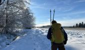 Tocht Stappen Jalhay - Jalhay Fagnes 23,8 km - Photo 7