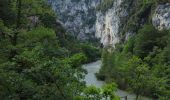 Percorso Marcia La Palud-sur-Verdon - Sentier Blanc Martel - Photo 15