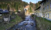 Tocht Te voet Bad Hofgastein - Gasteiner Höhenweg - Photo 10