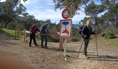 Randonnée Marche Six-Fours-les-Plages - Aire des masques faite le 7 février  - Photo 2