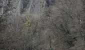 Trail Walking Aywaille - aywaille - martinrive a/r de part et d autre de l ambleve  - Photo 3