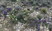 Randonnée Marche Pourrières - Mt Olympe et le pas du Titet - Photo 5