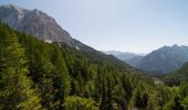 Percorso A piedi Kranjska Gora - stara vršiška cesta - Photo 5