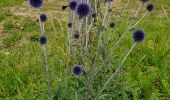 Tour Wandern Oulchy-le-Château - Oulchy le Château du 06/07/2020 - Photo 3