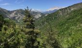 Trail Mountain bike Veynes - Cols de Villauret et des Priourets - Photo 9