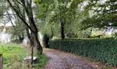 Tocht Stappen Incourt - La promenade des grosses pierres ( 4,9km ) - Photo 7