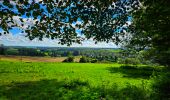 Trail Walking Hamois - Marche Adeps à Natoye - Photo 11