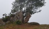 Trail Walking Mendionde - le mont baïgura  - Photo 10