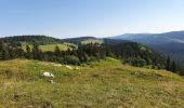 Tocht Stappen Les Rousses - Mont Sàla (boucle) - Photo 5