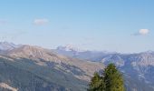 Tour Wandern Colmars - Le Laupon - Villars Colmars - Photo 3