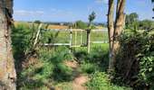 Trail Walking Dalhem - mortroux DA7  - Photo 13
