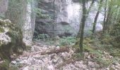 Trail Walking Mouthier-Haute-Pierre - gorges de noailles  - Photo 7