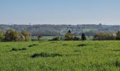 Tocht Stappen Gien - Gien à briare 45 - Photo 10