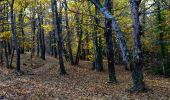 Tocht Stappen Puget-Ville - SityTrail - Terre blanche et tour du Faucon départ de Puget ville  - Photo 13