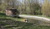 Percorso A piedi Nadějkov - Naučná stezka Nadějkovsko - Photo 6