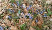 Trail Walking Saint-Saturnin-lès-Apt - APT S Saturnin d Apt  , sentier des Auguiers et des bornes o - Photo 12