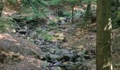 Trail Walking Spa - GrWandArdRiv 12: Spa de Barisart en Geronstère bronnen (PVDB) - Photo 15
