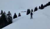 Tour Schneeschuhwandern Le Grand-Bornand - Le col des ânes  - Photo 5