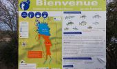 Tour Wandern Le Cannet-des-Maures - 20240121 Les Escarcets  - Photo 4