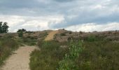 Tocht Stappen Maaseik - Gruitroderbos -  dunes - Photo 12